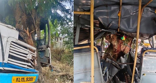 കെ​എ​സ്ആ​ർ​ടി​സി ബ​സ് മ​ര​ത്തി​ൽ  ഇ​ടി​ച്ച് 12 പേ​ര്‍​ക്ക് പ​രി​ക്ക്