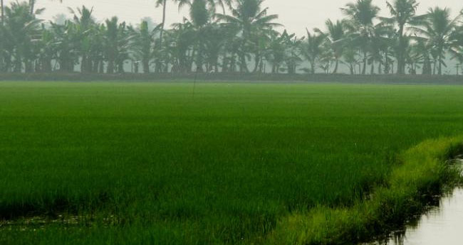 കുട്ടനാട് പാക്കേജ് നേട്ടമായില്ല; പരിഭവിച്ചു