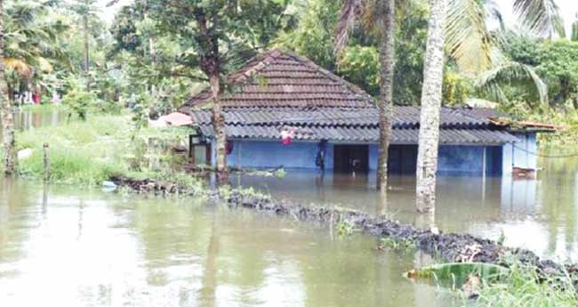 മഴക്കാലമെത്തി; കുട്ടനാടിനെ രക്ഷിക്കാൻ മുറവിളി