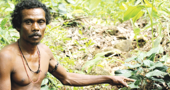 ആ​രോ​ഗ്യ​പ​ച്ച​യെ ലോ​ക​ത്തി​നു വെ​ളി​പ്പെ​ടു​ത്തി​യ  കു​ട്ടി​മാ​ത്ത​ൻ​കാ​ണി അ​ന്ത​രി​ച്ചു