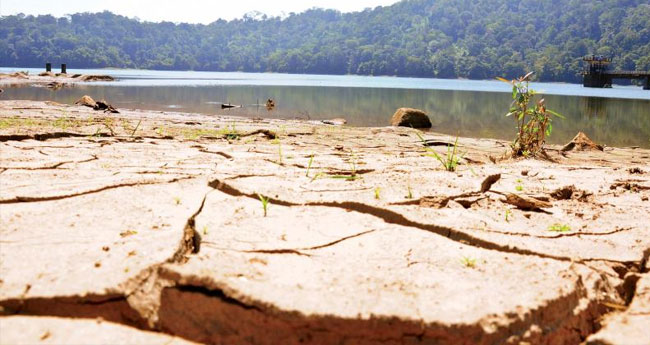 പു​ഴ​ക​ളി​ല്‍നി​ന്നു മ​ണ​ലെ​ടു​ക്ക​ണ​മെ​ന്ന ആ​വ​ശ്യം ശ​ക്തം; നിരോധനം ലംഘിക്കാൻ നീക്കം