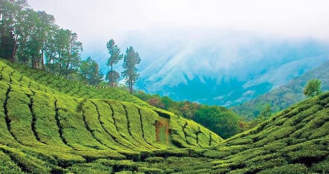 ഭൂ​പ​തി​വ് ച​ട്ട ഭേ​ദ​ഗ​തി ബി​ല്‍ നി​യ​മ​സ​ഭ പാ​സാ​യി