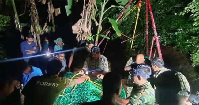 മ​ണി​ക്കൂ​റു​ക​ള്‍ നീ​ണ്ട ദൗ​ത്യം; കി​ണ​റ്റി​ല്‍ അ​ക​പ്പെ​ട്ട പു​ലി​യെ പു​റ​ത്തെ​ത്തി​ച്ചു