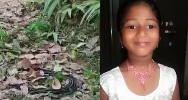 ര​ണ്ടാം ക്ലാ​സു​കാ​രി ബ​സി​ന​ടി​യി​ൽ​പെ​ട്ട​ത് കാ​ലി​ൽ കേ​ബി​ള്‍ കു​ടു​ങ്ങി; മ​ന്ത്രി വി.​ശി​വ​ൻ​കു​ട്ടി റി​പ്പോ​ര്‍​ട്ട് തേ​ടി
