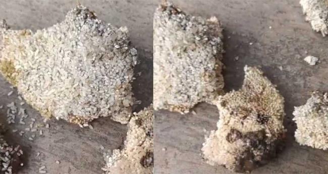 പു​ഴു​വ​രി​ച്ച അ​രി വി​ത​ര​ണം ച‍െ​യ്ത സം​ഭ​വം; വി​ജി​ല​ൻ​സ് അ​ന്വേ​ഷ​ണം പ്ര​ഖ്യാ​പി​ച്ചു