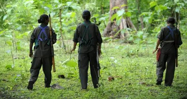 വ​യ​നാ​ട്ടി​ൽ വീ​ണ്ടും മാ​വോ​യി​സ്റ്റ് സം​ഘം; ഭ​ക്ഷ​ണ​സാ​ധ​ന​ങ്ങ​ൾ ശേ​ഖ​രി​ച്ചു, ലാ​പ്‌​ടോ​പ് ചാ​ർ​ജ് ചെ​യ്തു മ​ട​ങ്ങി