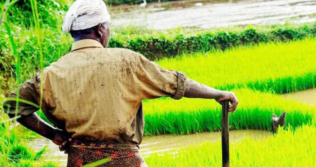 ക​ർ​ഷ​ക വാ​യ്പ​ക​ളു​ടെ മോ​റ​ട്ടോ​റി​യം കാ​ലാ​​വ​ധി ഡി​സം​ബ​ർ 31 വ​രെ നീ​ട്ടി