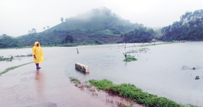 മൂന്നാറിൽ കനത്ത മഴ