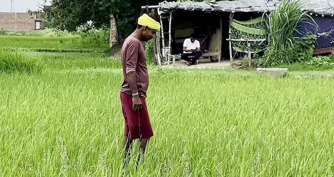 നെല്‍കര്‍ഷകരുടെ സമരപ്രഖ്യാപനകണ്‍വന്‍ഷന്‍ ഇന്നു ചങ്ങനാശേരിയില്‍