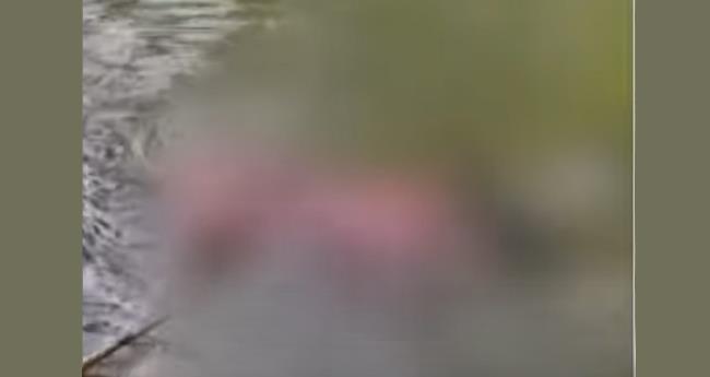 നെ​യ്യാ​റി​ല്‍ ക​ണ്ടെ​ത്തി​യ​ത് ദ​മ്പ​തി​ക​ളു​ടെ മൃ​ത​ദേ​ഹ​ങ്ങ​ള്‍; കൈ​ക​ള്‍ ത​മ്മി​ല്‍ കെ​ട്ടി​യ നി​ല​യി​ല്‍