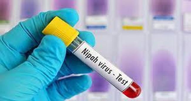 നി​പ ; ആ​റു പേ​രു​ടെ പ​രി​ശോ​ധ​നാ ഫ​ലം നെ​ഗ​റ്റീ​വ്