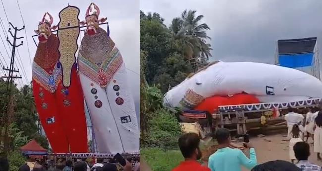 ഓ​ച്ചി​റ​യി​ൽ 72 അ​ടി ഉ​യ​ര​മു​ള്ള  കെ​ട്ടു​കാ​ള മ​റി​ഞ്ഞു