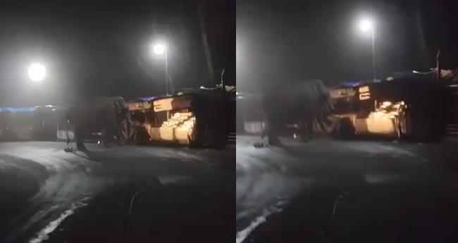 മൂ​ന്നാ​ര്‍ ടൗ​ണി​ലി​റ​ങ്ങി പ​ട​യ​പ്പ; വ​ഴി​യോ​ര ക​ട​ക​ൾ ത​ക​ര്‍​ത്തു