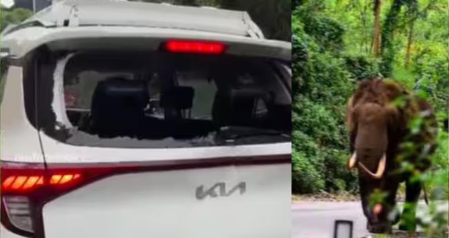 ക​ഥ, തി​ര​ക്ക​ഥ, സം​വി​ധാ​നം പ​ട​യ​പ്പ; ഷൂ​ട്ടിം​ഗ് സം​ഘ​ത്തി​ന്‍റെ വാ​ഹ​നം ത​ക​ർ​ത്തു