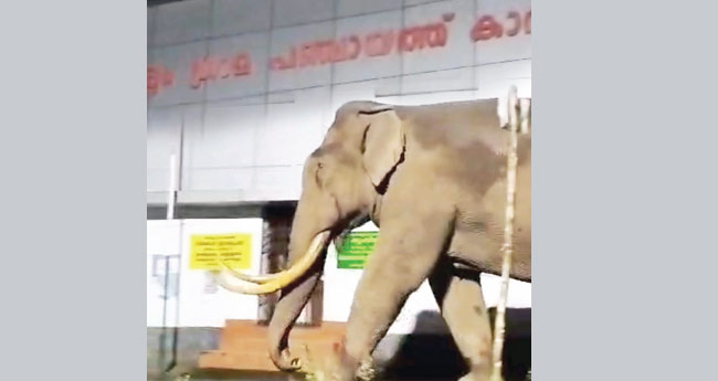 പ​ട​യ​പ്പ പഞ്ചാ. ഓഫീസിന്  സമീപം