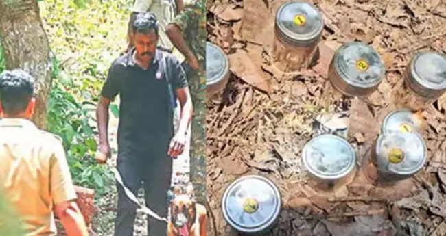 പാ​നൂ​ർ സ്ഫോ​ട​നം: ബോം​ബ് ഒ​ളി​പ്പി​ച്ച​ത് ഡി​വൈ​എ​ഫ്ഐ പ്ര​വ​ർ​ത്ത​ക​ർ