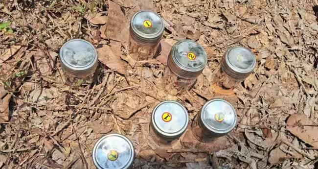 പാ​നൂ​ർ സ്ഫോ​ട​നം; പ്ര​തി​ക​ൾ​ക്ക് കോ​ട​തി ജാ​മ്യം അ​നു​വ​ദി​ച്ചു