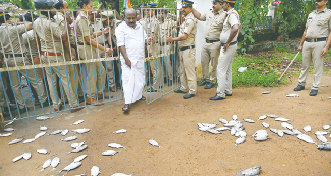 പെരിയാറിലെ മത്സ്യക്കുരുതി; പ്രതിഷേധവുമായി സംഘടനകൾ