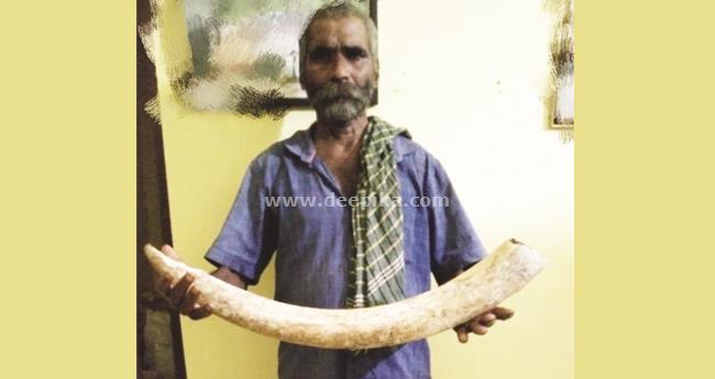 മാ​മ​ല​ക്ക​ണ്ട​ത്ത് ആ​ന​വേ​ട്ട​ക്കാ​ര​ന്‍ പി​ടി​യി​ല്‍