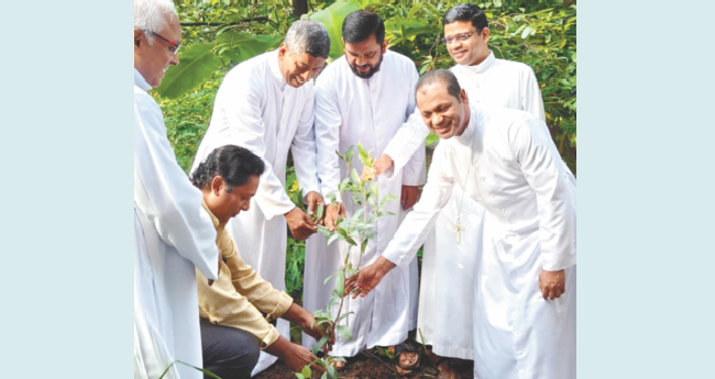 പി​ഒ​സി​യി​ല്‍ പ​രി​സ്ഥി​തിദി​നം  ആ​ച​രി​ച്ചു