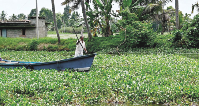 പോ​ളശ​ല്യ​ത്തി​നു പ​രി​ഹാ​രം തേടി‍ പാ​ന​ല്‍ ച​ര്‍​ച്ച