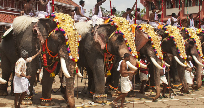 മ​​​​ന്ത്രി​​​​മാ​​​​ർ ഇടഞ്ഞു; ആ​​​​ന​​​​ക​​​​ളെ വീ​​​​ണ്ടും പ​​​​രി​​​​ശോ​​​​ധി​​​​ക്കില്ല