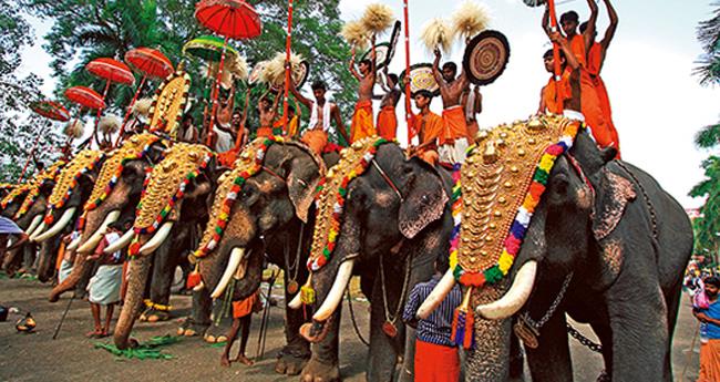 ആ​ന​യെ​ഴു​ന്ന​ള്ളി​പ്പി​ലെ നി​യ​ന്ത്ര​ണ​ങ്ങ​ൾ നീ​ക്കി