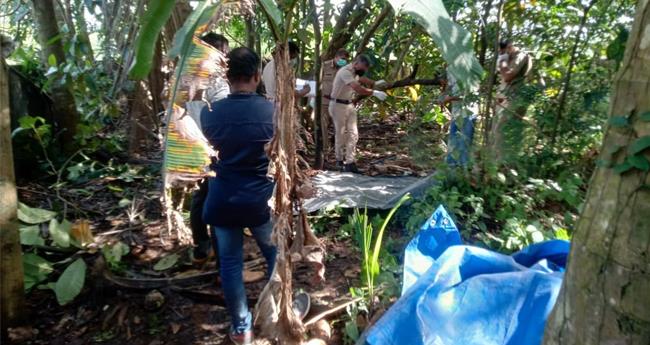 ചങ്ങനാശേരിയില്‍ ഒരു മാസത്തിലധികം പഴക്കമുള്ള മൃതദേഹം കണ്ടെത്തി