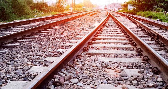 പാ​ള​ത്തി​ൽ മ​രം  വീ​ണ് ട്രെ​യി​ൻ ഗതാഗതം തടസപ്പെട്ടു