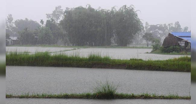 തു​ലാ​വ​ർ​ഷം ഇ​ന്ന് എ​ത്തി​യേ​ക്കും; കോ​ട്ട​യ​ത്തും ഇ​ടു​ക്കി​യി​ലും ഓ​റ​ഞ്ച് അ​ലേ​ർ​ട്ട്