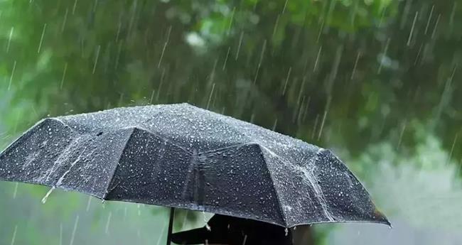 സം​സ്ഥാ​ന​ത്ത് മ​ഴ ക​ന​ക്കും; വ​രും മ​ണി​ക്കൂ​റി​ൽ ഒ​റ്റ​പ്പെ​ട്ട​യി​ട​ങ്ങ​ളി​ൽ മി​ത​മാ​യ മ​ഴ​യ്ക്ക് സാ​ധ്യ​ത