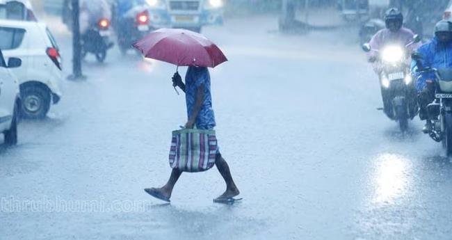 ഞാ​യ​റാ​ഴ്ച എ​ല്ലാ ജി​ല്ല​ക​ളി​ലും മ​ഴ സാ​ധ്യ​ത; തി​രു​വ​ന​ന്ത​പു​ര​ത്തും കൊ​ല്ല​ത്തും യെ​ല്ലോ അ​ല​ർ​ട്ട്