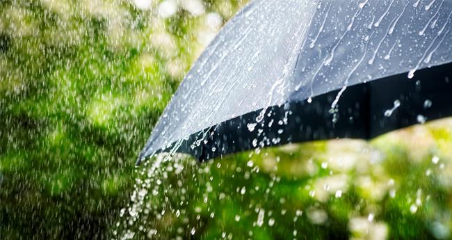 മ​ഴ തു​ട​രു​ന്നു; റ​വ​ന്യൂ ഉ​ദ്യോ​ഗ​സ്ഥ​രു​ടെ അ​വ​ധി റ​ദ്ദാ​ക്കി