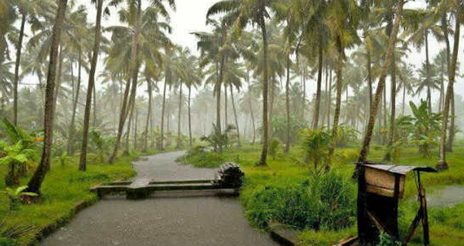 ദുരിതം പെയ്യുന്പോൾ