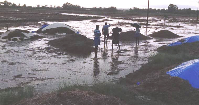 ശ​ക്തി പ്രാ​പി​ച്ച് വേ​ന​ൽമ​ഴ; ചൂ​ടി​നു നേ​രി​യ ആ​ശ്വാ​സം