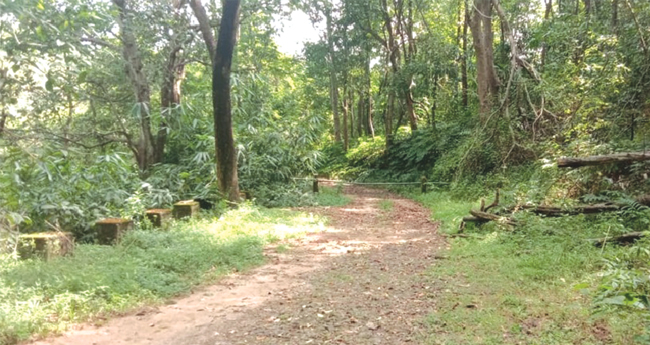 ആ​ലു​വ-മൂ​ന്നാ​ർ രാ​ജ​പാ​ത: മ​ന്ത്രി​യു​ടെ വാ​ദം പൊ​ളി​ച്ച് സ​ർ​ക്കാ​ർ രേ​ഖ​ക​ൾ