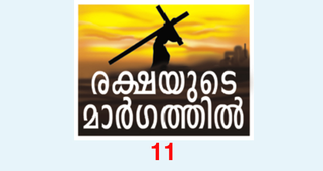 സീ​​​നാ​​​യ് ഉ​​​ട​​​ന്പ​​​ടി​​​യു​​​ടെ മ​​​ഹ​​​നീ​​​യ​​​ത