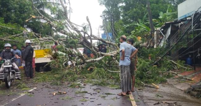 ഓ​ടി​ക്കൊ​ണ്ടി​രു​ന്ന പി​ക്ക​പ് വാ​നി​നു മു​ക​ളി​ൽ മ​രം വീ​ണു; വ​ൻ ദു​ര​ന്തം ഒ​ഴി​വാ​യി