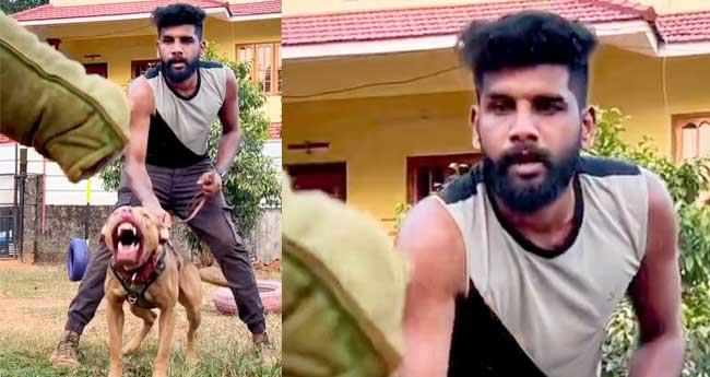 നാ​യ പ​രി​ശീ​ല​ന​ത്തി​ന്‍റെ മ​റ​വി​ല്‍ ക​ഞ്ചാ​വു വി​ൽ​പ്പ​ന; റോ​ബി​ൻ മു​ങ്ങി​യ​ത് ഗു​ണ്ട​ക​ളു​ടെ സ​ഹാ​യ​ത്തോ​ടെ