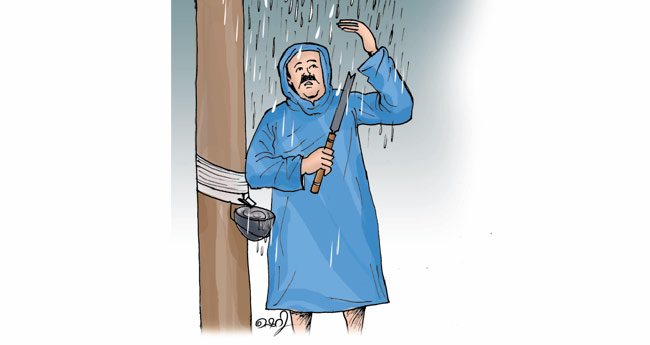 കാർഷിക കേരളത്തിനു തളർച്ച
