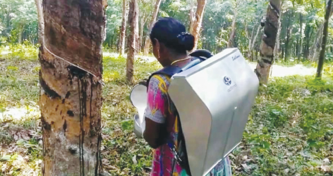 റബർ പാൽ ശേ​ഖ​രി​ക്കാ​ൻ സം​വി​ധാ​നം: അ​മ​ൽ ജ്യോ​തി കോ​ള​ജി​ന് അം​ഗീ​കാ​രം