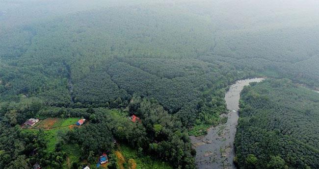 ശ​ബ​രി​മ​ല വി​മാ​ന​ത്താ​വ​ളം: സാ​മൂ​ഹി​കാ​ഘാ​ത പ​ഠ​നം അ​ടു​ത്ത​യാ​ഴ്ച തു​ട​ങ്ങും
