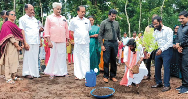 ച​ന്ദ​നക്കൃ​ഷി തുടങ്ങി