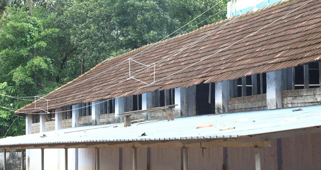 മി​ഥു​ന് ഷോ​ക്കേ​റ്റ  വി​വാ​ദ വൈ​ദ്യു​തി ലൈ​ൻ മു​റി​ച്ചു മാ​റ്റി