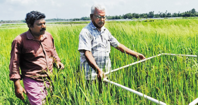 നാടൻ വിത്തുകളെ പ്രണ‍യിച്ച് സെബാസ്റ്റ്യൻ