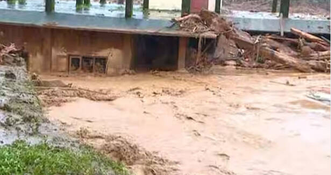കാണാമറയത്ത് 49 കുരുന്നുകൾ