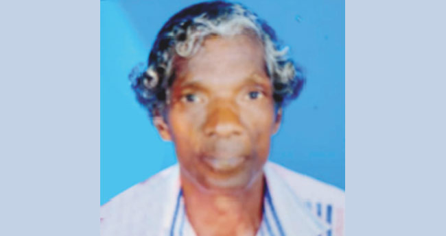 ആ​ട്ടി​ൻ കൂ​ട്ടി​ൽ​നി​ന്ന് ഷോ​ക്കേ​റ്റ് ആ​ദി​വാ​സി മ​രി​ച്ചു