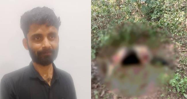 പ​ശു​വി​നെ മോ​ഷ്ടി​ച്ച് ക​യ്യും കാ​ലും മു​റി​ച്ചെ​ടു​ത്ത കേ​സി​ൽ പ്ര​തി പി​ടി​യി​ൽ