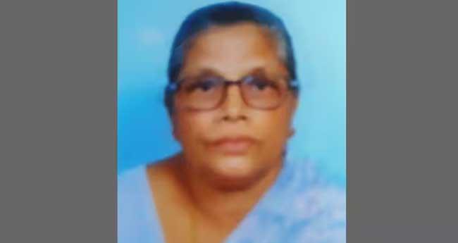 ക​ട​ന്ന​ല്‍ കു​ത്തേ​റ്റ് വ​യോ​ധി​ക മ​രി​ച്ചു