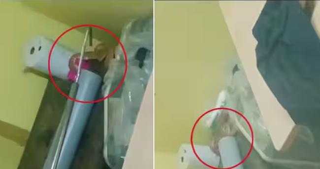 കൊ​ല്ല​ത്ത് കു​ടും​ബാ​രോ​ഗ്യ കേ​ന്ദ്ര​ത്തി​നു​ള്ളി​ൽ​നി​ന്ന് അ​ണ​ലി​യെ പി​ടി​കൂ​ടി